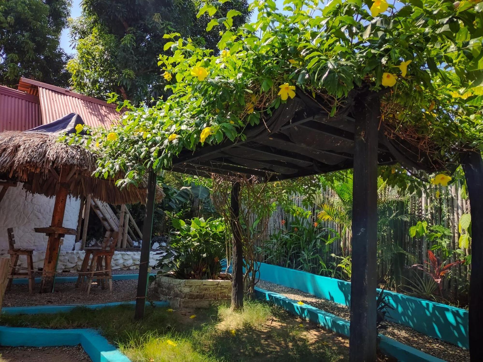 Hostel Cattleya Palomino Esterno foto