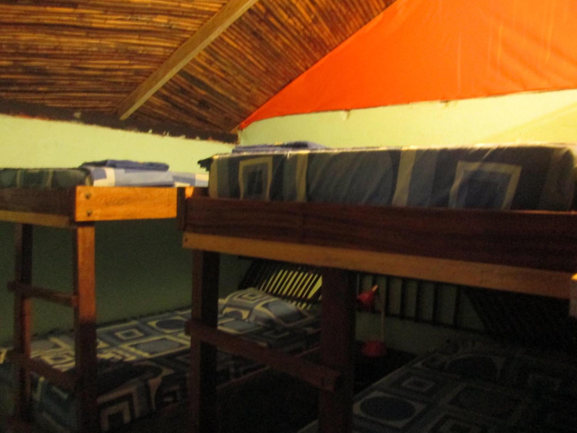 Hostel Cattleya Palomino Esterno foto